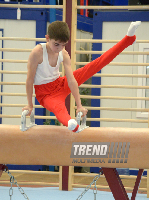 Bakıda kişi idman gimnastikası üzrə çoxnövçülükdə yarışlar başlayıb. Azərbaycan, 5 dekabr 2015